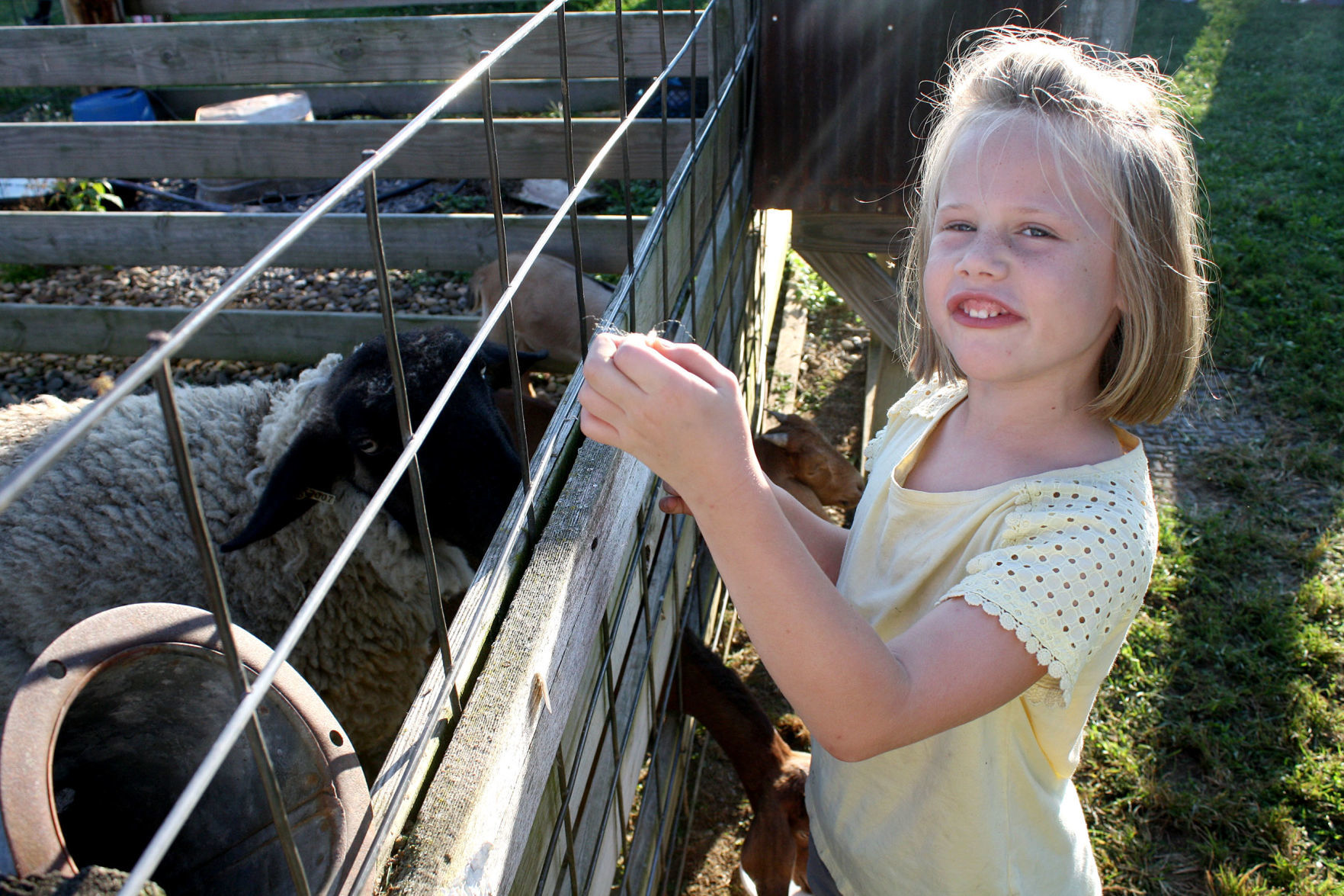 Ard’s animal display draws kids